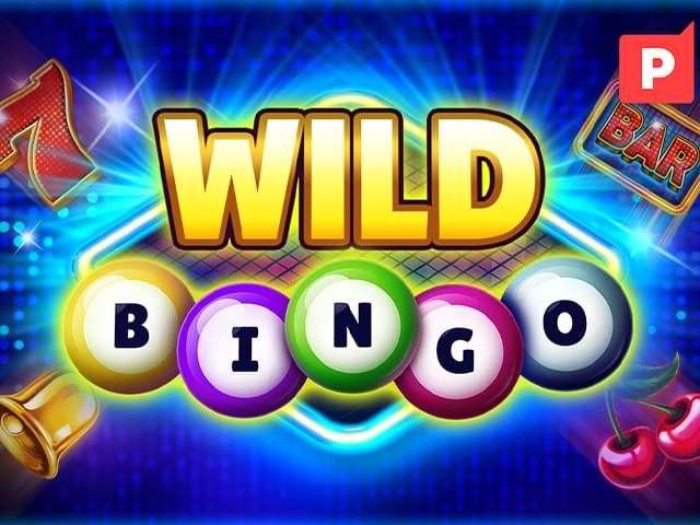 9D GAME Bingo Selvagem